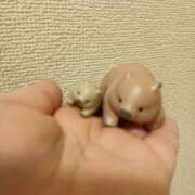 こはる ゲリラ!!! エロティックマッサージ 錦糸町