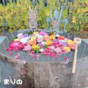 ヒメ日記 2025/01/02 16:11 投稿 まりの エロティックマッサージ 錦糸町