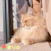 ヒメ日記 2025/02/11 20:46 投稿 まりの エロティックマッサージ 錦糸町