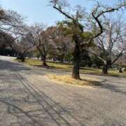 ヒメ日記 2026/03/28 21:34 投稿 ゆみか タレント倶楽部Around40