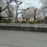 ヒメ日記 2026/04/05 14:10 投稿 ゆみか タレント倶楽部Around40