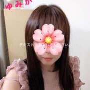 ヒメ日記 2026/06/16 10:00 投稿 ゆみか タレント倶楽部Around40