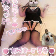 ヒメ日記 2025/01/24 22:13 投稿 夏希(なつき) 鶯谷ワンハート