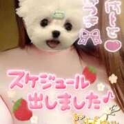 ヒメ日記 2025/02/03 21:46 投稿 夏希(なつき) 鶯谷ワンハート