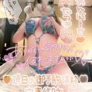 ヒメ日記 2025/02/07 22:17 投稿 夏希(なつき) 鶯谷ワンハート