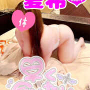 ヒメ日記 2025/02/11 11:48 投稿 夏希(なつき) 鶯谷ワンハート