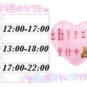 ヒメ日記 2025/03/03 16:13 投稿 澪-Mio- マニア東京　Mフェチ・アブノーマル専門店