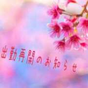 ヒメ日記 2025/03/31 21:59 投稿 澪-Mio- マニア東京　Mフェチ・アブノーマル専門店