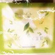 ヒメ日記 2025/05/20 21:54 投稿 かえで エマニエル