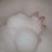 ヒメ日記 2025/07/20 23:32 投稿 かえで エマニエル