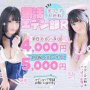 ヒメ日記 2025/03/01 05:07 投稿 まゆ エデンR