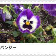 ヒメ日記 2025/01/16 17:10 投稿 山波幸 こあくまな熟女たち 鶯谷・日暮里店(KOAKUMAグループ)