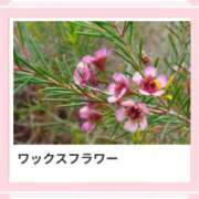 ヒメ日記 2025/01/19 17:28 投稿 山波幸 こあくまな熟女たち 鶯谷・日暮里店(KOAKUMAグループ)