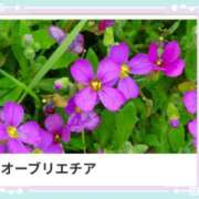 ヒメ日記 2025/01/26 17:07 投稿 山波幸 こあくまな熟女たち 鶯谷・日暮里店(KOAKUMAグループ)