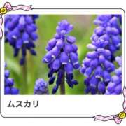 ヒメ日記 2025/02/02 17:21 投稿 山波幸 こあくまな熟女たち 鶯谷・日暮里店(KOAKUMAグループ)