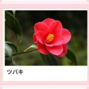 ヒメ日記 2025/02/04 17:08 投稿 山波幸 こあくまな熟女たち 鶯谷・日暮里店(KOAKUMAグループ)