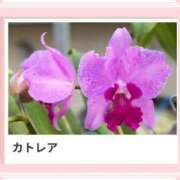 ヒメ日記 2025/02/09 17:07 投稿 山波幸 こあくまな熟女たち 鶯谷・日暮里店(KOAKUMAグループ)