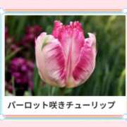 ヒメ日記 2025/02/15 17:02 投稿 山波幸 こあくまな熟女たち 鶯谷・日暮里店(KOAKUMAグループ)