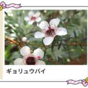 ヒメ日記 2025/02/21 18:03 投稿 山波幸 こあくまな熟女たち 鶯谷・日暮里店(KOAKUMAグループ)