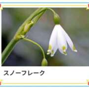 ヒメ日記 2025/02/23 17:06 投稿 山波幸 こあくまな熟女たち 鶯谷・日暮里店(KOAKUMAグループ)