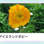 ヒメ日記 2025/02/24 17:11 投稿 山波幸 こあくまな熟女たち 鶯谷・日暮里店(KOAKUMAグループ)