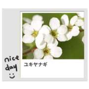 ヒメ日記 2025/02/27 17:06 投稿 山波幸 こあくまな熟女たち 鶯谷・日暮里店(KOAKUMAグループ)