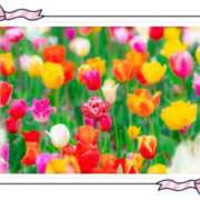 ヒメ日記 2025/02/28 22:35 投稿 山波幸 こあくまな熟女たち 鶯谷・日暮里店(KOAKUMAグループ)