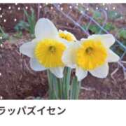 ヒメ日記 2025/03/07 17:07 投稿 山波幸 こあくまな熟女たち 鶯谷・日暮里店(KOAKUMAグループ)