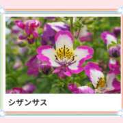 ヒメ日記 2025/03/14 17:34 投稿 山波幸 こあくまな熟女たち 鶯谷・日暮里店(KOAKUMAグループ)