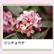 ヒメ日記 2025/03/16 17:08 投稿 山波幸 こあくまな熟女たち 鶯谷・日暮里店(KOAKUMAグループ)