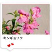 ヒメ日記 2025/03/18 17:27 投稿 山波幸 こあくまな熟女たち 鶯谷・日暮里店(KOAKUMAグループ)