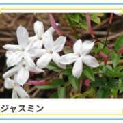 ヒメ日記 2025/04/03 17:26 投稿 山波幸 こあくまな熟女たち 鶯谷・日暮里店(KOAKUMAグループ)