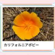 ヒメ日記 2025/04/22 17:08 投稿 山波幸 こあくまな熟女たち 鶯谷・日暮里店(KOAKUMAグループ)