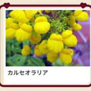 ヒメ日記 2025/04/24 17:12 投稿 山波幸 こあくまな熟女たち 鶯谷・日暮里店(KOAKUMAグループ)