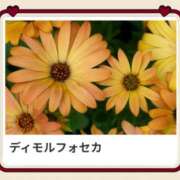 ヒメ日記 2025/05/11 17:04 投稿 山波幸 こあくまな熟女たち 鶯谷・日暮里店(KOAKUMAグループ)