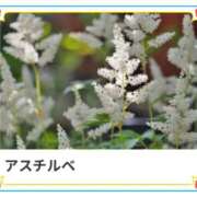 ヒメ日記 2025/05/14 17:32 投稿 山波幸 こあくまな熟女たち 鶯谷・日暮里店(KOAKUMAグループ)