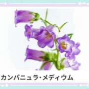 ヒメ日記 2025/05/16 17:19 投稿 山波幸 こあくまな熟女たち 鶯谷・日暮里店(KOAKUMAグループ)