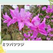 ヒメ日記 2025/05/22 17:36 投稿 山波幸 こあくまな熟女たち 鶯谷・日暮里店(KOAKUMAグループ)