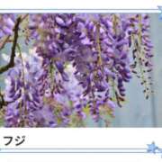 ヒメ日記 2025/05/25 17:06 投稿 山波幸 こあくまな熟女たち 鶯谷・日暮里店(KOAKUMAグループ)