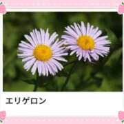 ヒメ日記 2025/05/27 17:13 投稿 山波幸 こあくまな熟女たち 鶯谷・日暮里店(KOAKUMAグループ)