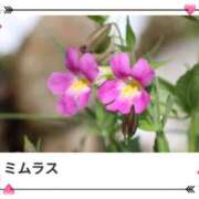 ヒメ日記 2025/06/02 17:33 投稿 山波幸 こあくまな熟女たち 鶯谷・日暮里店(KOAKUMAグループ)