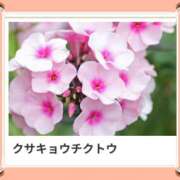 ヒメ日記 2025/06/03 17:13 投稿 山波幸 こあくまな熟女たち 鶯谷・日暮里店(KOAKUMAグループ)