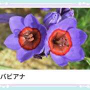 ヒメ日記 2025/06/06 17:33 投稿 山波幸 こあくまな熟女たち 鶯谷・日暮里店(KOAKUMAグループ)