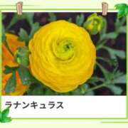 ヒメ日記 2025/06/10 18:32 投稿 山波幸 こあくまな熟女たち 鶯谷・日暮里店(KOAKUMAグループ)