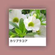 ヒメ日記 2025/06/20 17:06 投稿 山波幸 こあくまな熟女たち 鶯谷・日暮里店(KOAKUMAグループ)