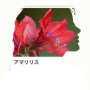 ヒメ日記 2025/06/21 11:35 投稿 山波幸 こあくまな熟女たち 鶯谷・日暮里店(KOAKUMAグループ)