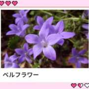 ヒメ日記 2025/06/28 18:13 投稿 山波幸 こあくまな熟女たち 鶯谷・日暮里店(KOAKUMAグループ)