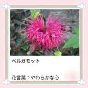 ヒメ日記 2025/07/10 17:03 投稿 山波幸 こあくまな熟女たち 鶯谷・日暮里店(KOAKUMAグループ)