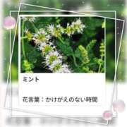 ヒメ日記 2025/07/11 17:53 投稿 山波幸 こあくまな熟女たち 鶯谷・日暮里店(KOAKUMAグループ)