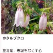 ヒメ日記 2025/07/13 17:04 投稿 山波幸 こあくまな熟女たち 鶯谷・日暮里店(KOAKUMAグループ)